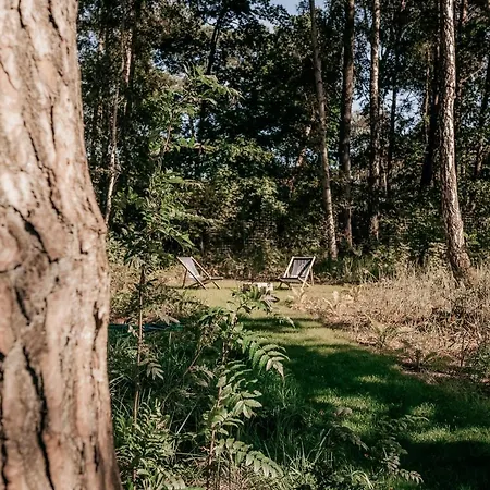 Amorzelas Hébergement de vacances Dębki