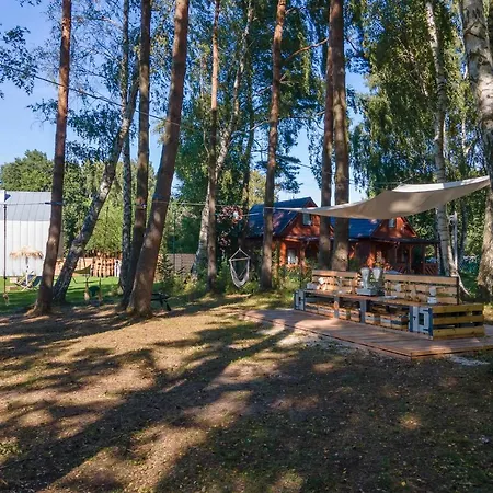 Amorzelas Dębki