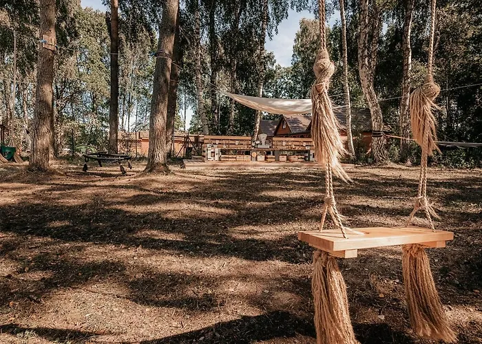 Amorzelas دمبكي