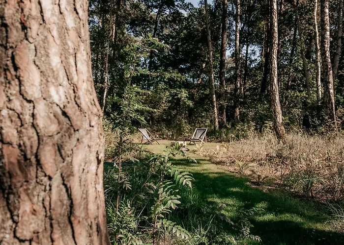 Amorzelas بيت للعطل دمبكي