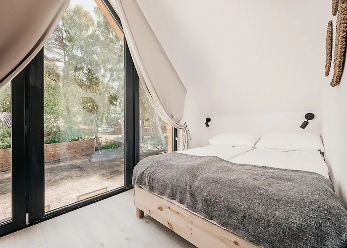 Amorzelas دمبكي